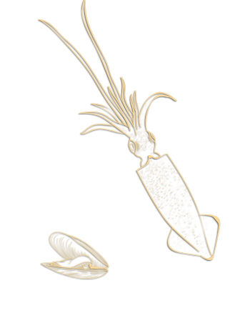 Ristorante Cesenatico